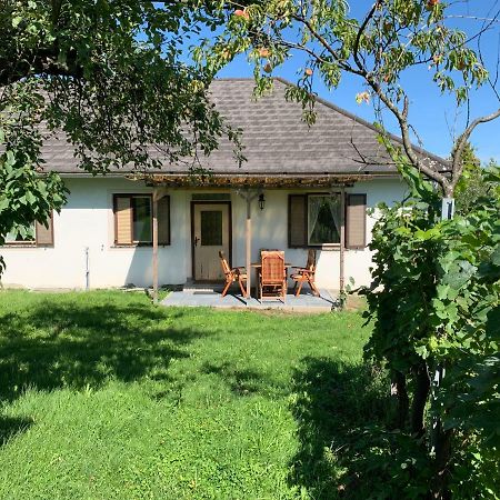Urlaub Im Weingarten Winten  Exterior foto
